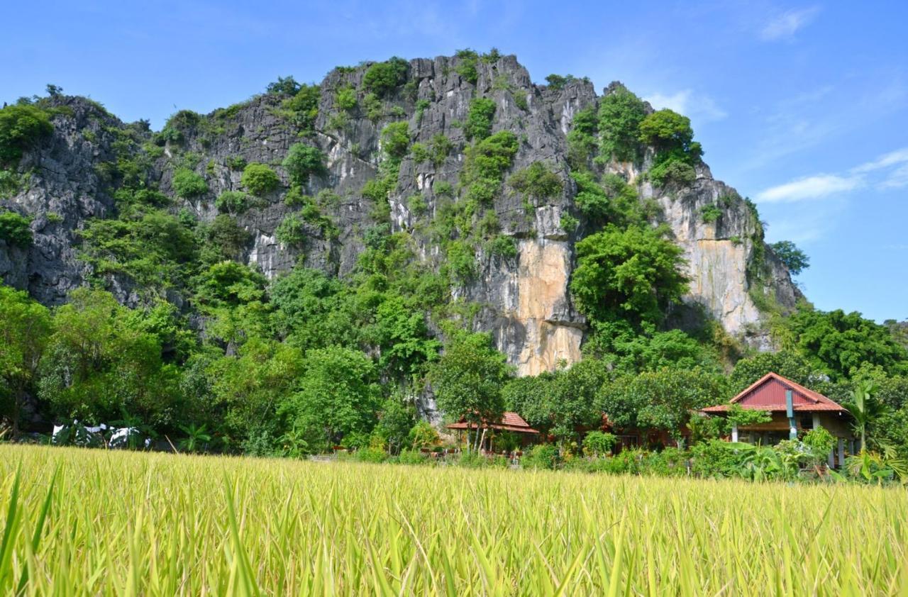 Tam Coc Mr Loa Homestay Ninh Binh Exterior foto