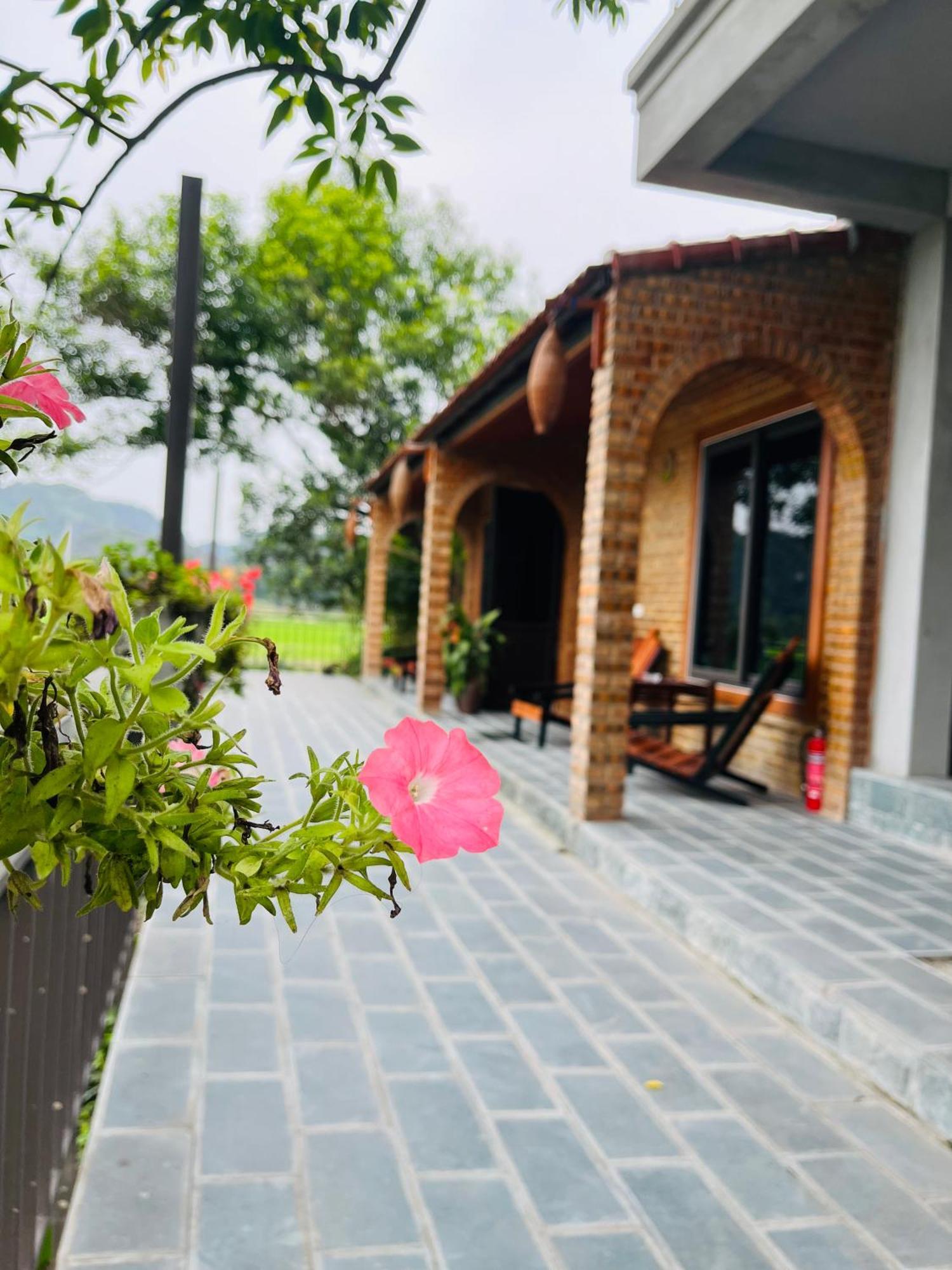 Tam Coc Mr Loa Homestay Ninh Binh Exterior foto
