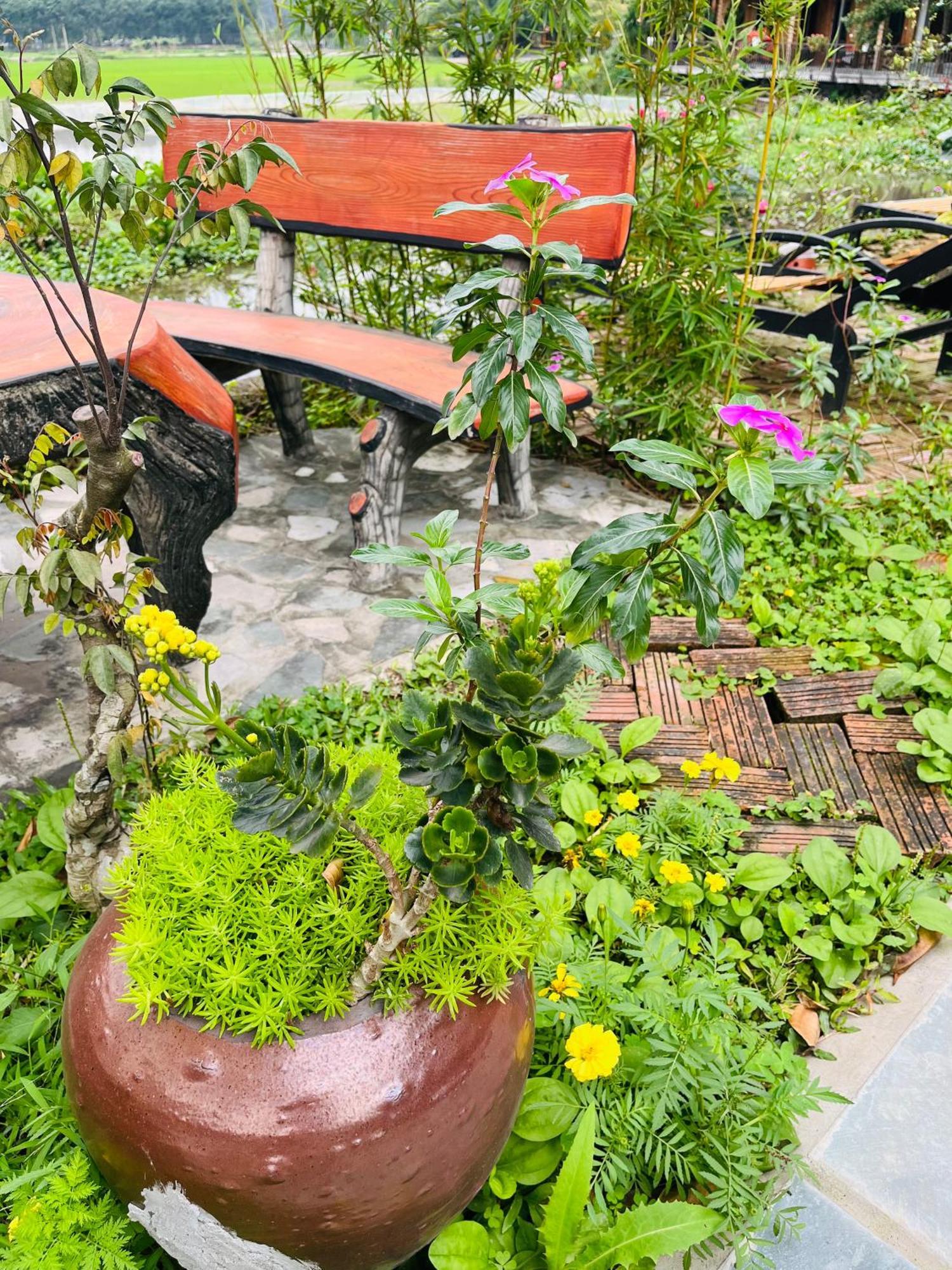 Tam Coc Mr Loa Homestay Ninh Binh Exterior foto