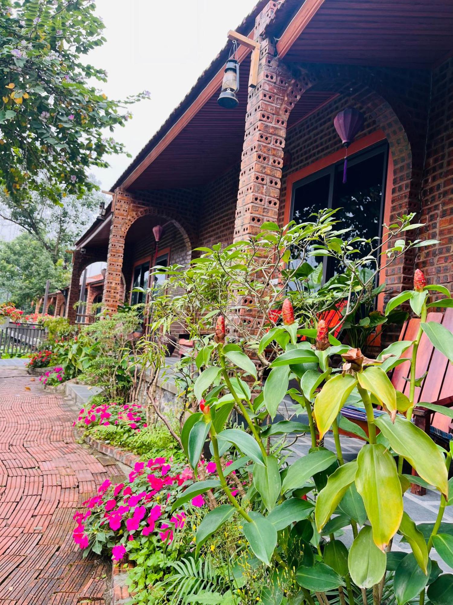Tam Coc Mr Loa Homestay Ninh Binh Exterior foto