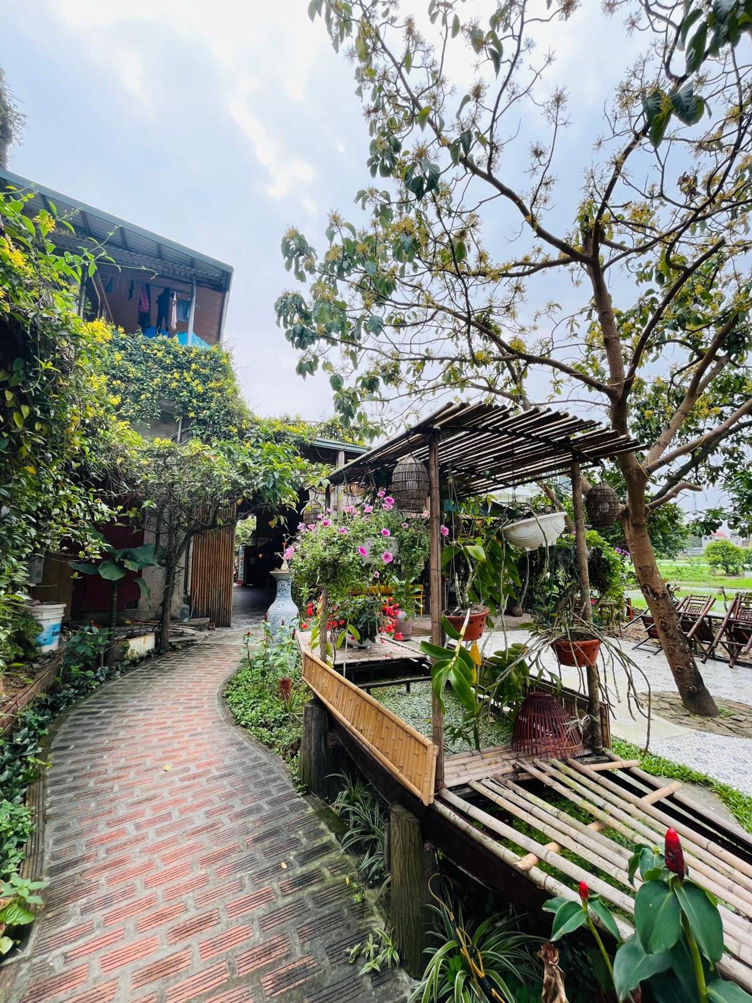 Tam Coc Mr Loa Homestay Ninh Binh Exterior foto